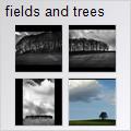 thumbnail for /2006-2007/fields%20and%20trees