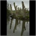 thumbnail for /2006-2007/landscapes/moat.jpg
