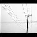 thumbnail for /2006-2007/poles%20and%20wires/poles1.jpg