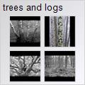 thumbnail for /2006-2007/trees%20and%20logs