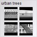 thumbnail for /2006-2007/urban%20trees