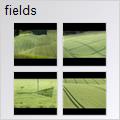 thumbnail for /2007/fields
