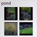 thumbnail for /2007/pond