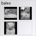 thumbnail for /2008/bales