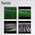 thumbnail for /2008/fields