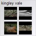 thumbnail for /2010/kingley%20vale
