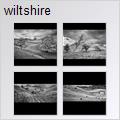 thumbnail for /2010/wiltshire