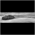 thumbnail for /2010/wiltshire/field_panorama3-bw.jpg