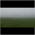 thumbnail for /2011/goal-fog-254-1.jpg