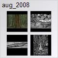 thumbnail for /aug_2008
