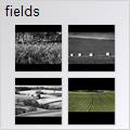 thumbnail for /winter_2009/fields