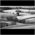 thumbnail for /winter_2009/fields/chalfont-st-giles-2-218.jpg