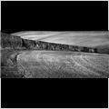 thumbnail for /winter_2009/fields/field-hedge-bledlow-ridge.jpg