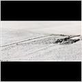 thumbnail for /winter_2009/land/ivinghoe-snow-fence-1-209.jpg
