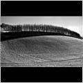 thumbnail for /winter_2009/land/tree-topped-slope-213-1.jpg