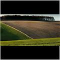 thumbnail for /winter_2012/field-wood-triangle-ivinghoe-and-schu-knob-1.jpg